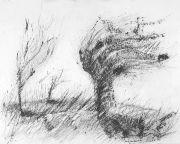 Dzeewo, film animowany Joanny Polak