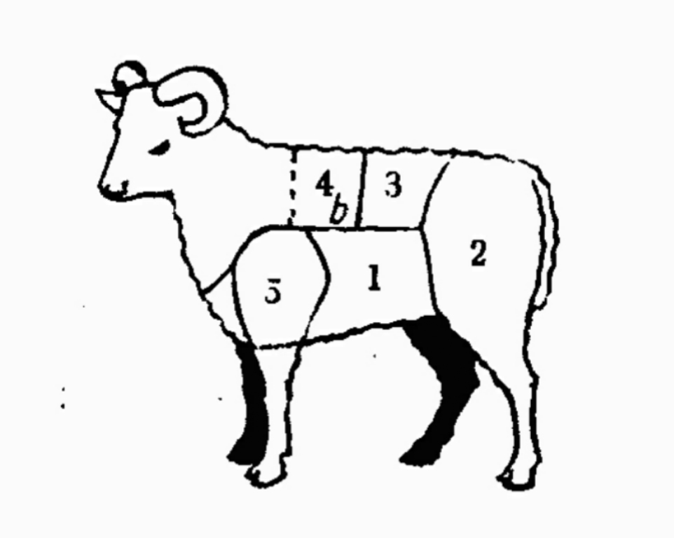 Videoinstalacja Joanny Polak